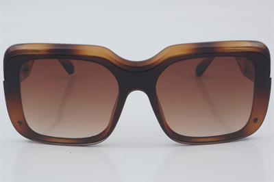 Despada DS 2186 C2 142 - 01 Güneş Gözlüğü