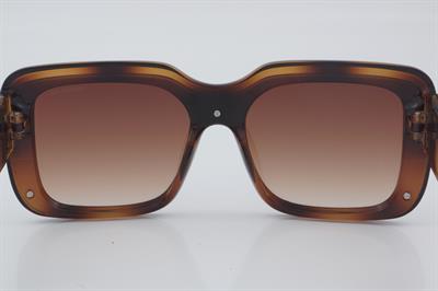 Despada DS 2186 C2 142 - 01 Güneş Gözlüğü