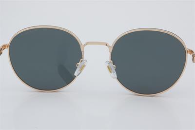 Despada DS 2210 C1 56 - 01 Güneş Gözlüğü