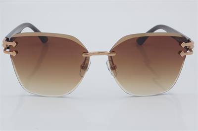 Despada DS 2349 C2 60 - 01 Güneş Gözlüğü