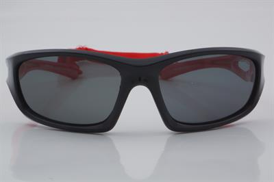 Despada DS 2250 C2 54 - 01 Güneş Gözlüğü