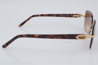 Elegance EG 1983 C1 57 - 01 Güneş Gözlüğü
