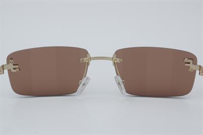 Fendi FE 4172US 32G 54 - 01 Güneş Gözlüğü
