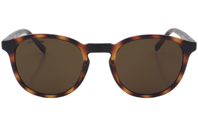 Lacoste L916S N 214 50 - 01 Güneş Gözlüğü