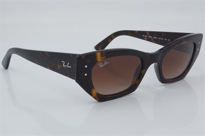 Ray-Ban RB 4430 1359/13 49 - 01 Güneş Gözlüğü