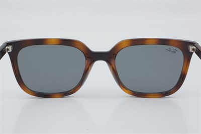 Ray-Ban RB 4439D 710/87 54 - 01 Güneş Gözlüğü
