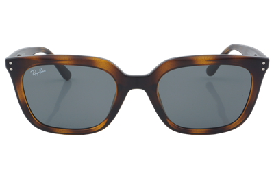 Ray-Ban RB 4439D 710/87 54 - 01 Güneş Gözlüğü