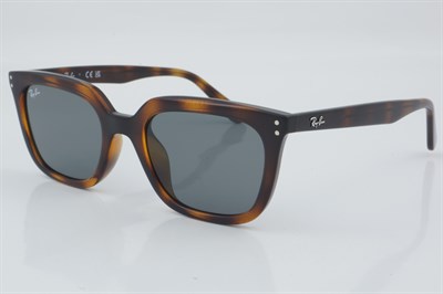 Ray-Ban RB 4439D 710/87 54 - 01 Güneş Gözlüğü