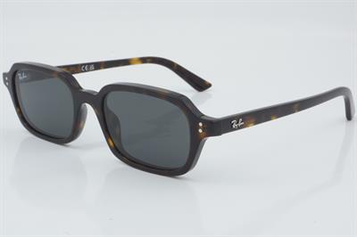 Ray-Ban RB 4455 1359/87 52 - 01 Güneş Gözlüğü