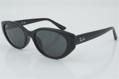 Ray-Ban RB 4457D 6677/87 55 - 01 Güneş Gözlüğü