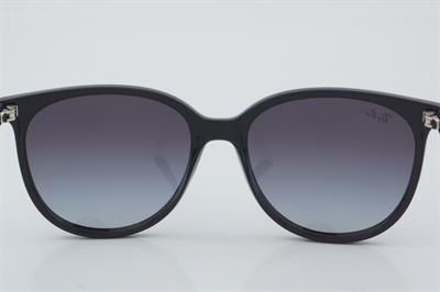 Ray-Ban RB 4378 601/8G 54 - 01 Güneş Gözlüğü
