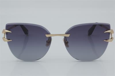 Roberto Cavalli SRC043 0300 62 - 01 Güneş Gözlüğü