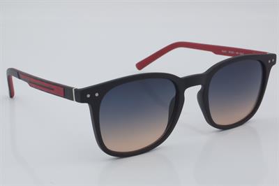 Swing SS 321 RB02 50 - 01 Güneş Gözlüğü