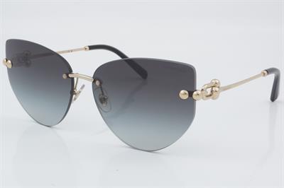 Tiffany & Co. TF 3096 6021/3C 60 - 01 Güneş Gözlüğü