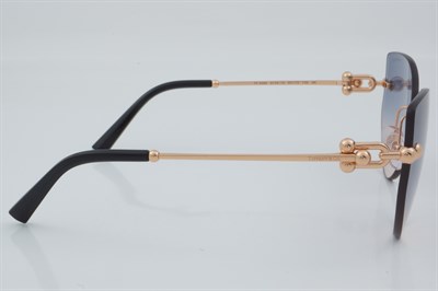 Tiffany & Co. TF 3096 6105/16 60 - 01 Güneş Gözlüğü