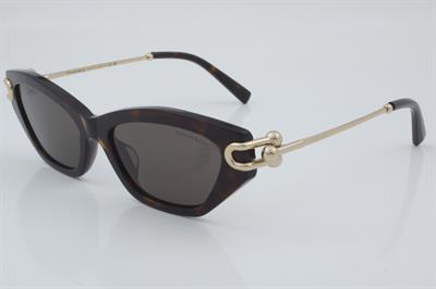 Tiffany & Co. TF 4231-U 8015/3G 53 - 01 Güneş Gözlüğü