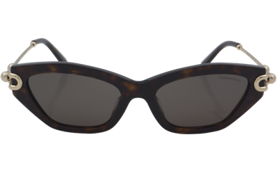 Tiffany & Co. TF 4231-U 8015/3G 53 - 01 Güneş Gözlüğü