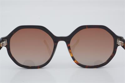 U.S. Polo Assn. USS 0247 C2 53 - 01 Güneş Gözlüğü