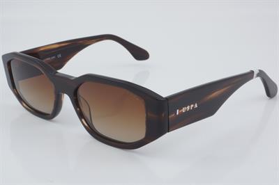 U.S. Polo Assn. USS 0196 C2 53 - 01 Güneş Gözlüğü