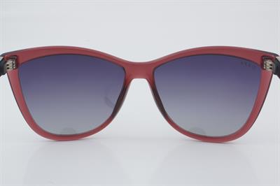 U.S. Polo Assn. USS 0103 C4 58 - 01 Güneş Gözlüğü