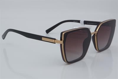 U.S. Polo Assn. USS 0339 C6 60 - 01 Güneş Gözlüğü