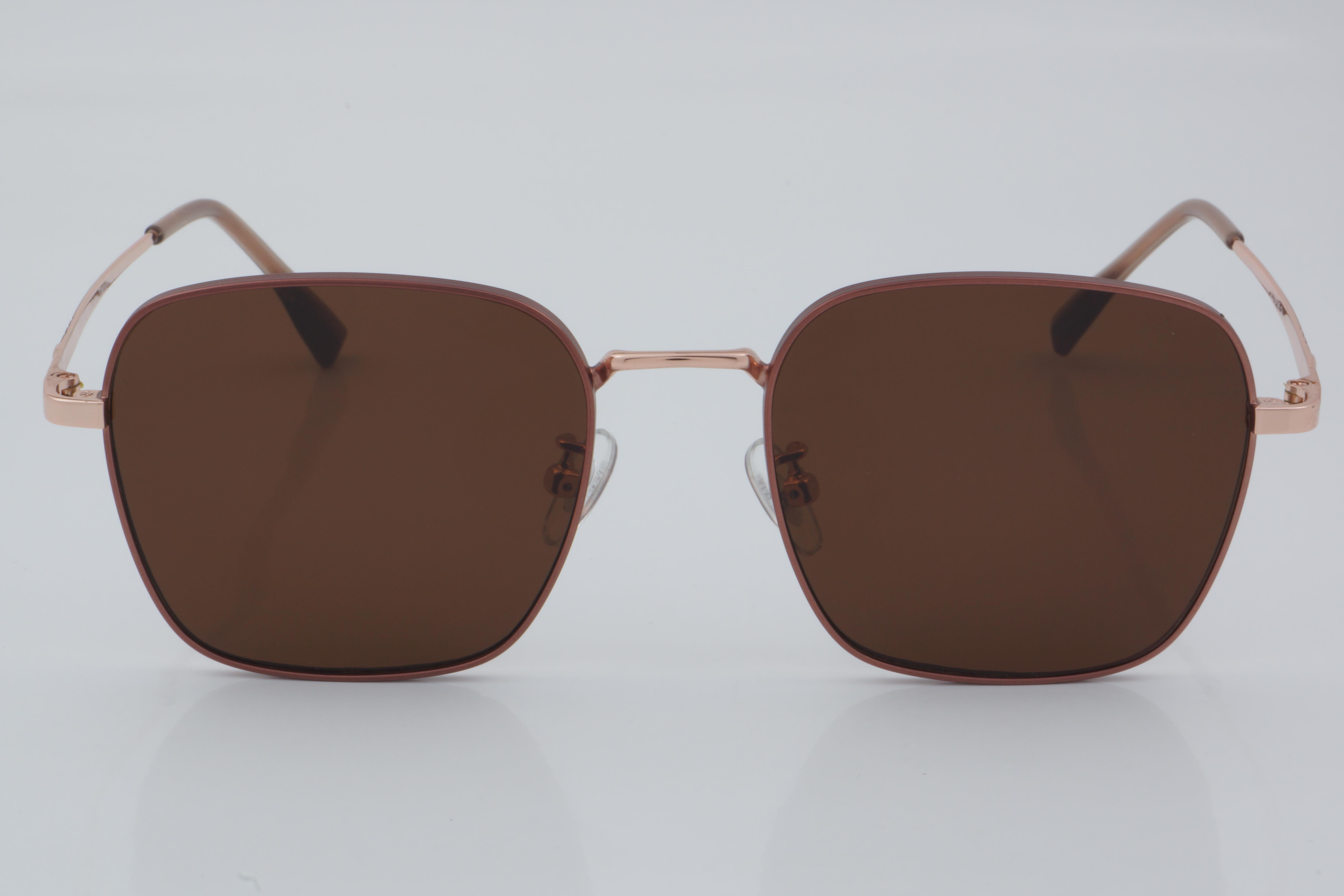 SWING EXCLUSIVE GÜNEŞ SE 77020 C4 52 - 01 Güneş Gözlüğü