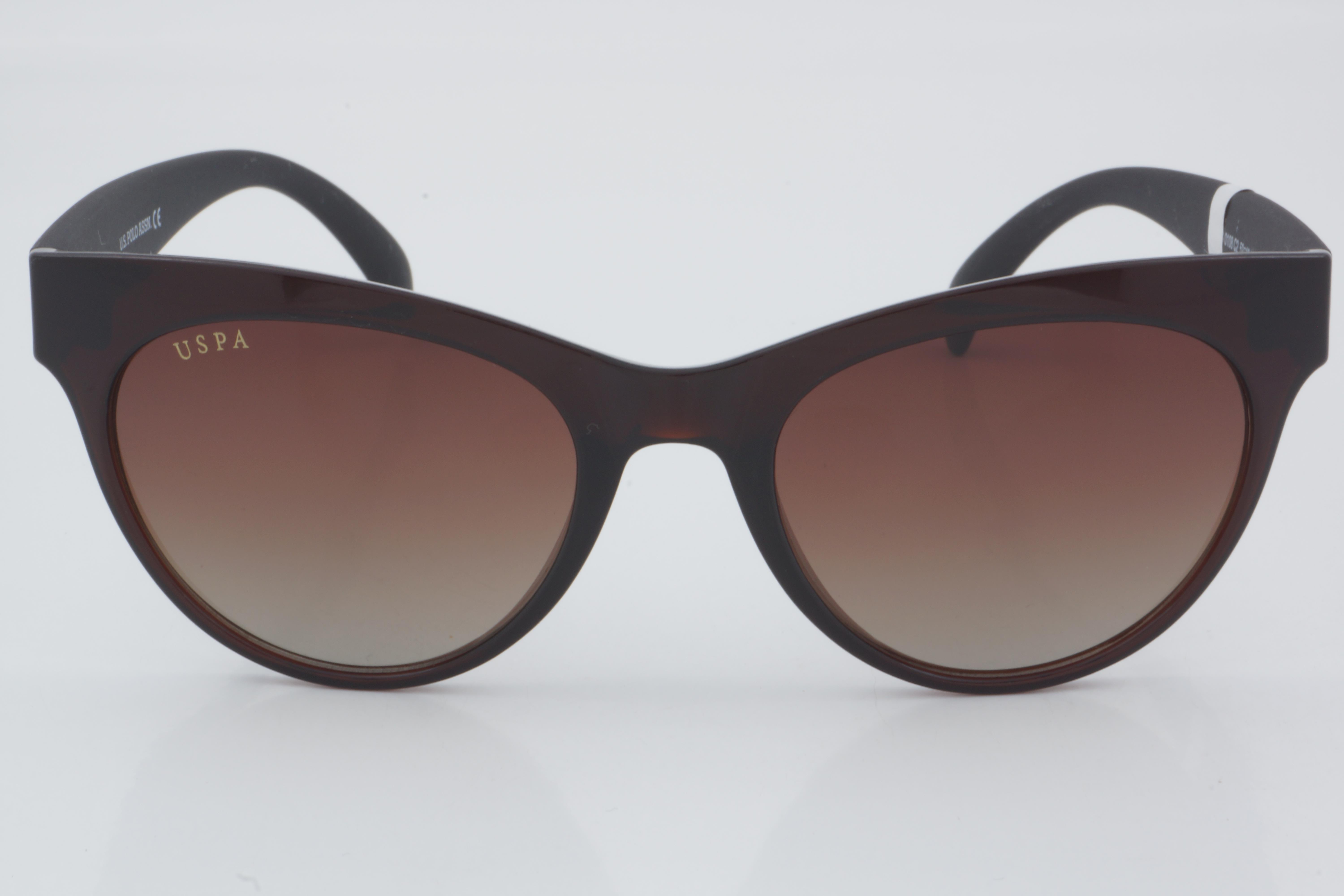 U.S. Polo Assn. USS 0108 C2 52 - 01 Güneş Gözlüğü