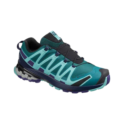 Salomon XA Pro 3D V8 Gore-Tex Kadın Outdoor Ayakkabı