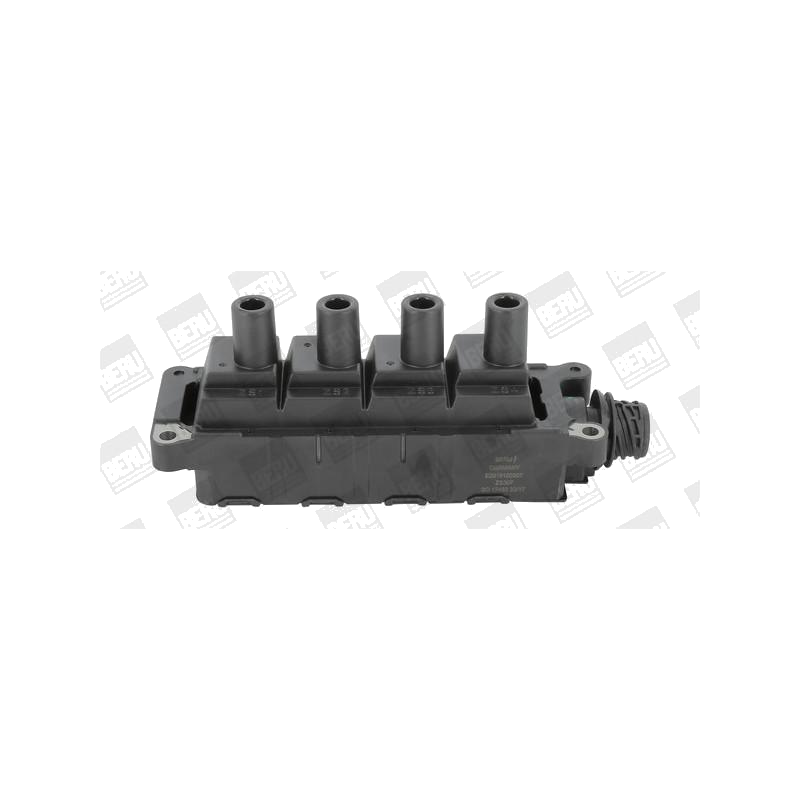 bmw-bobin-m43-beru-bw-zs307-9899-3.png