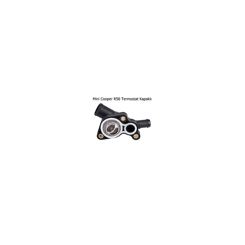 mini-termostat-r50-kapakli-a73f-f.png