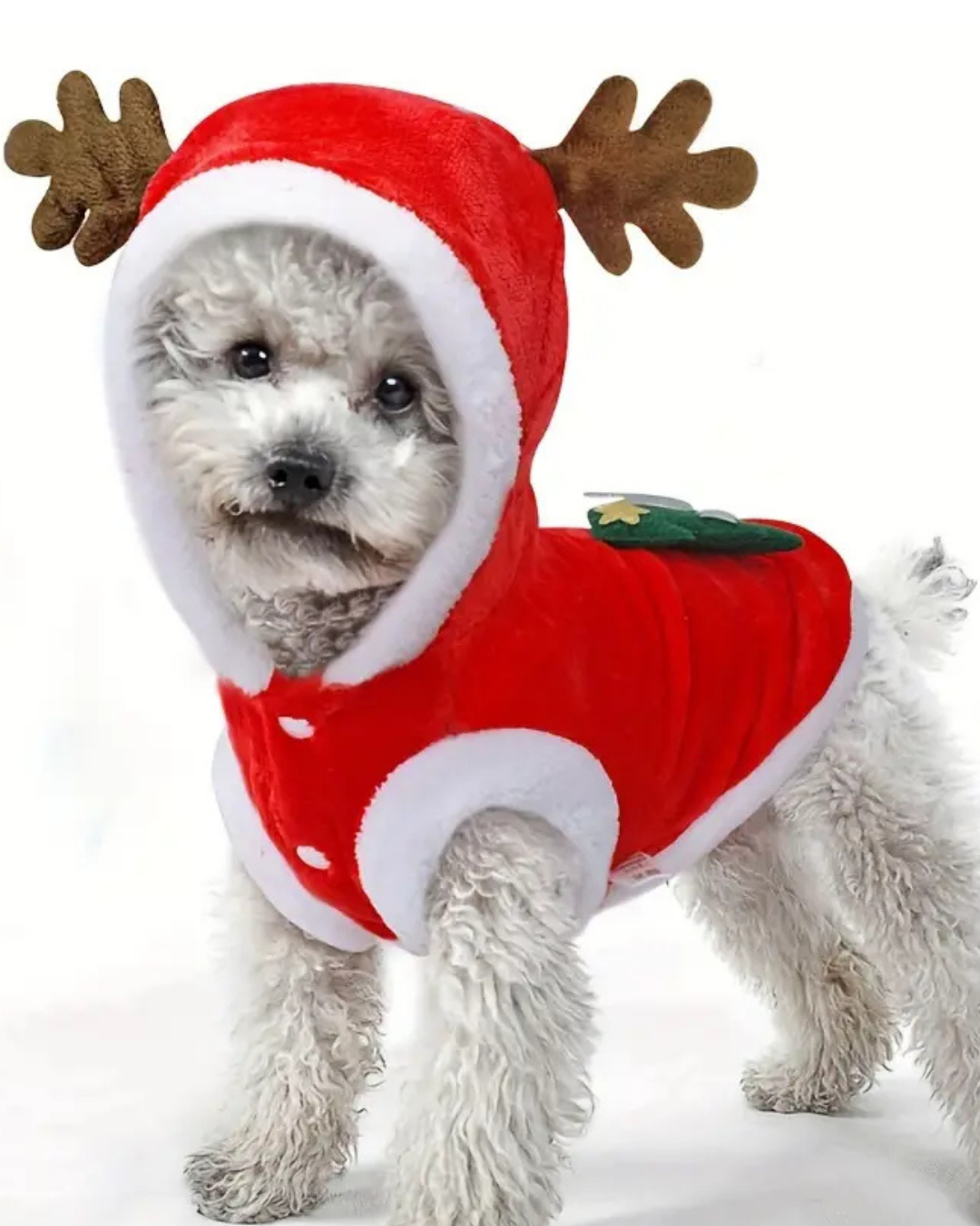 Noel Baba Geyiği Köpek Kostümü – Küçük Irk Evcil Hayvanlar İçin Polyester Kapüşonlu Çıtçıtlı Fleece Tatil Kıyafeti