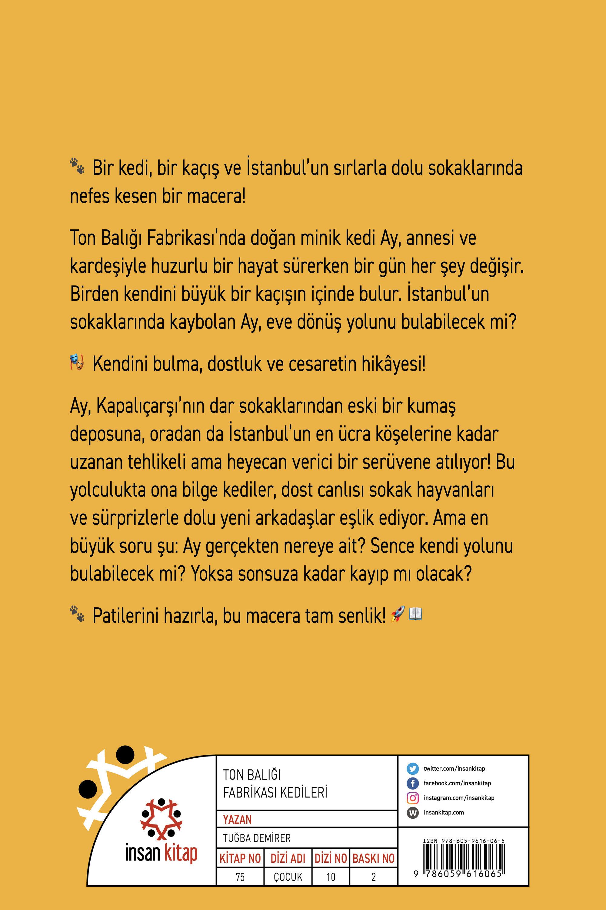 Ton Balığı Fabrikası Kediler