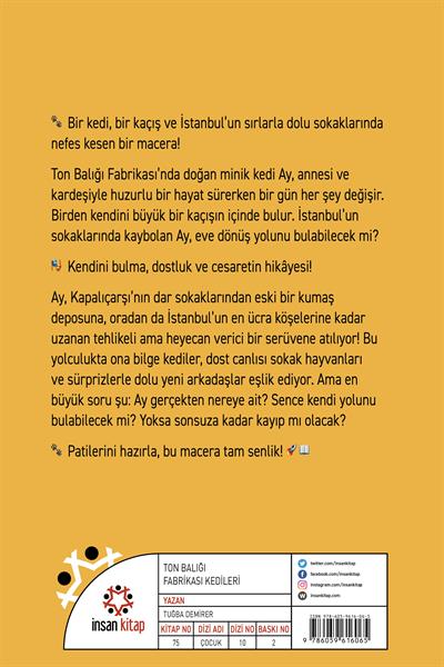 Ton Balığı Fabrikası Kedileri