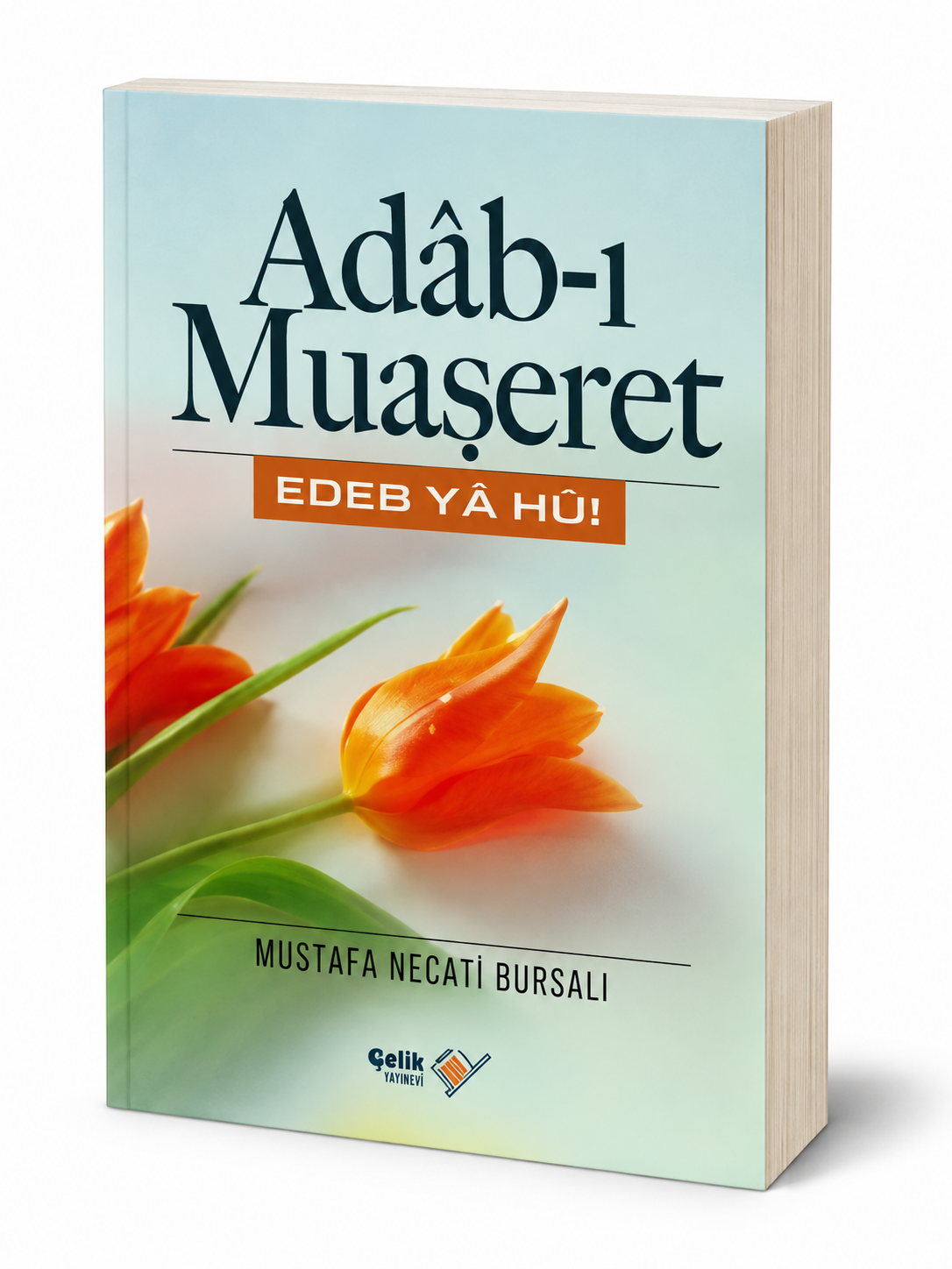 Adab-ı Muaşeret; Edeb Ya Hu!
