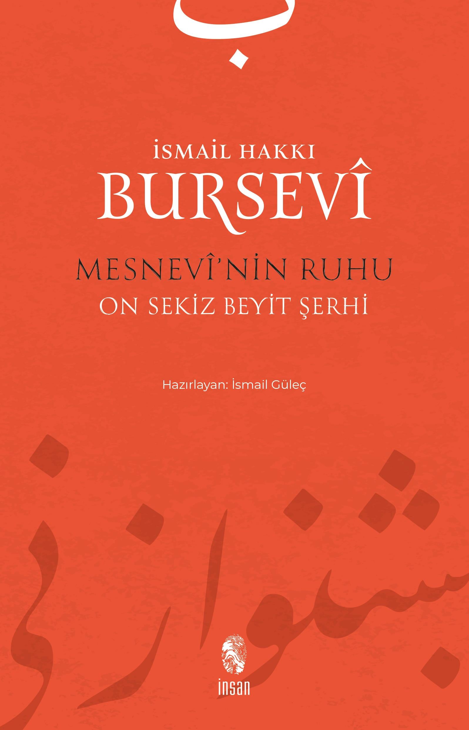 mesnevi-nin-ruhu-114a-9.jpeg