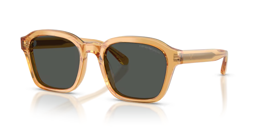 EMPORIO ARMANI 0EA4245U 624687 54-21