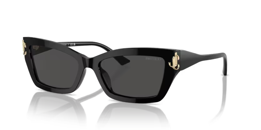 JIMMY CHOO 0JC5011U 500087 55