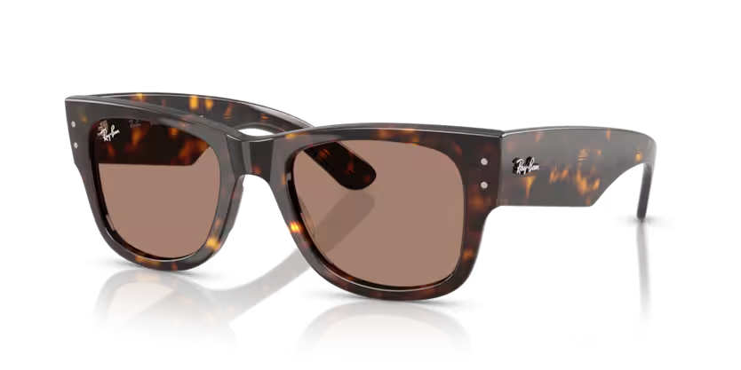 RAY-BAN 0RB0840S 902/1A 51