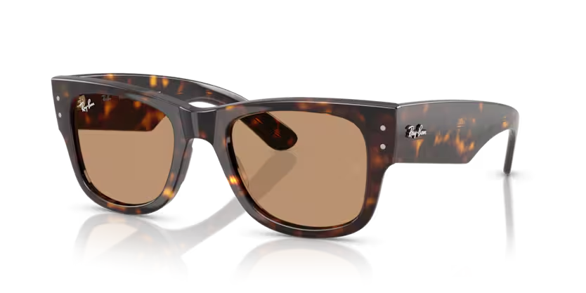 RAY-BAN 0RB0840S 902/53 51