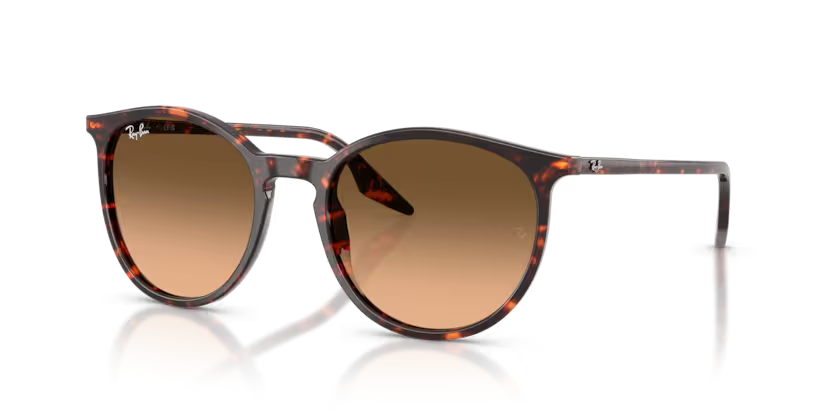 RAY-BAN 0RB2204 14293B 54