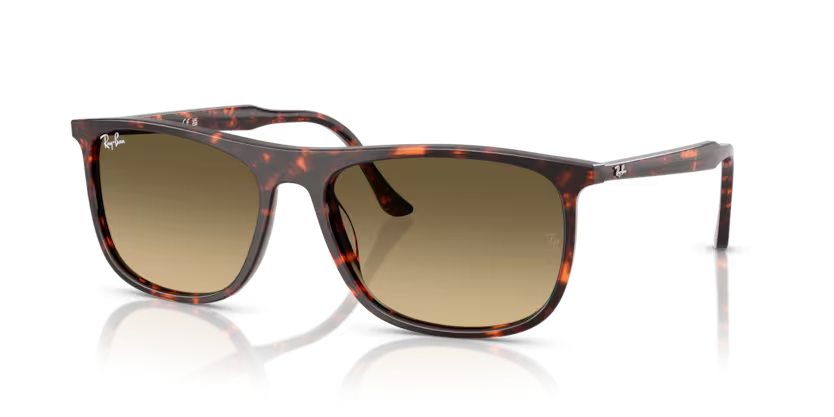 RAY-BAN 0RB2216 14290A 58