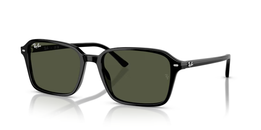 RAY-BAN 0RB2231 901/31 56