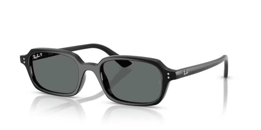 RAY-BAN 0RB4455 667781 52
