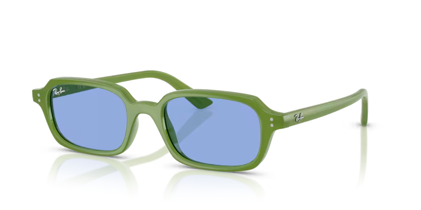 RAY-BAN 0RB4455 681080 52-19