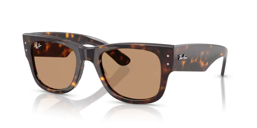 RAY-BAN 0RB0840S 902/53 51