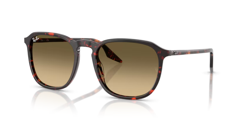 RAY-BAN 0RB2203 14290A 52