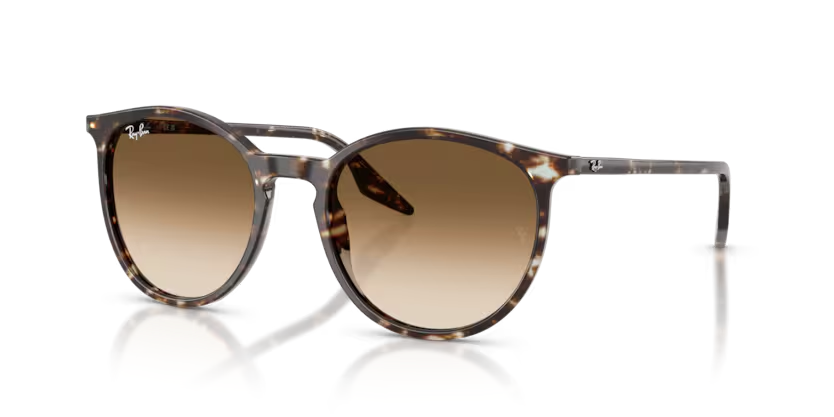 RAY-BAN 0RB2204 143151 54