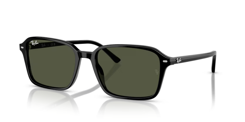 RAY-BAN 0RB2231 901/31 56