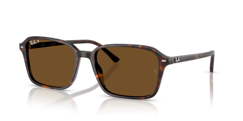 RAY-BAN 0RB2231 902/57 56