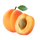 Store Icon
